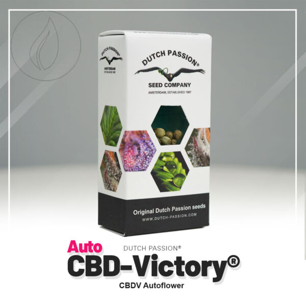 Dutch Passion Auto CBD Victory 3 Seeds