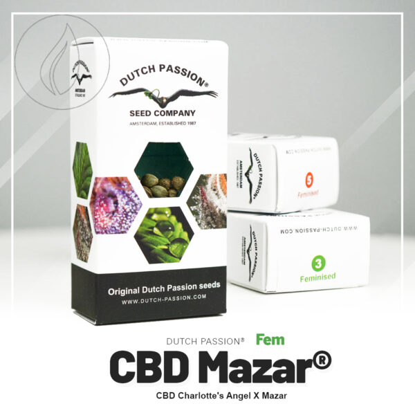 Dutch Passion CBD Mazar 10 Seeds
