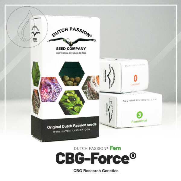 Dutch Passion CBG Force 3 Seeds